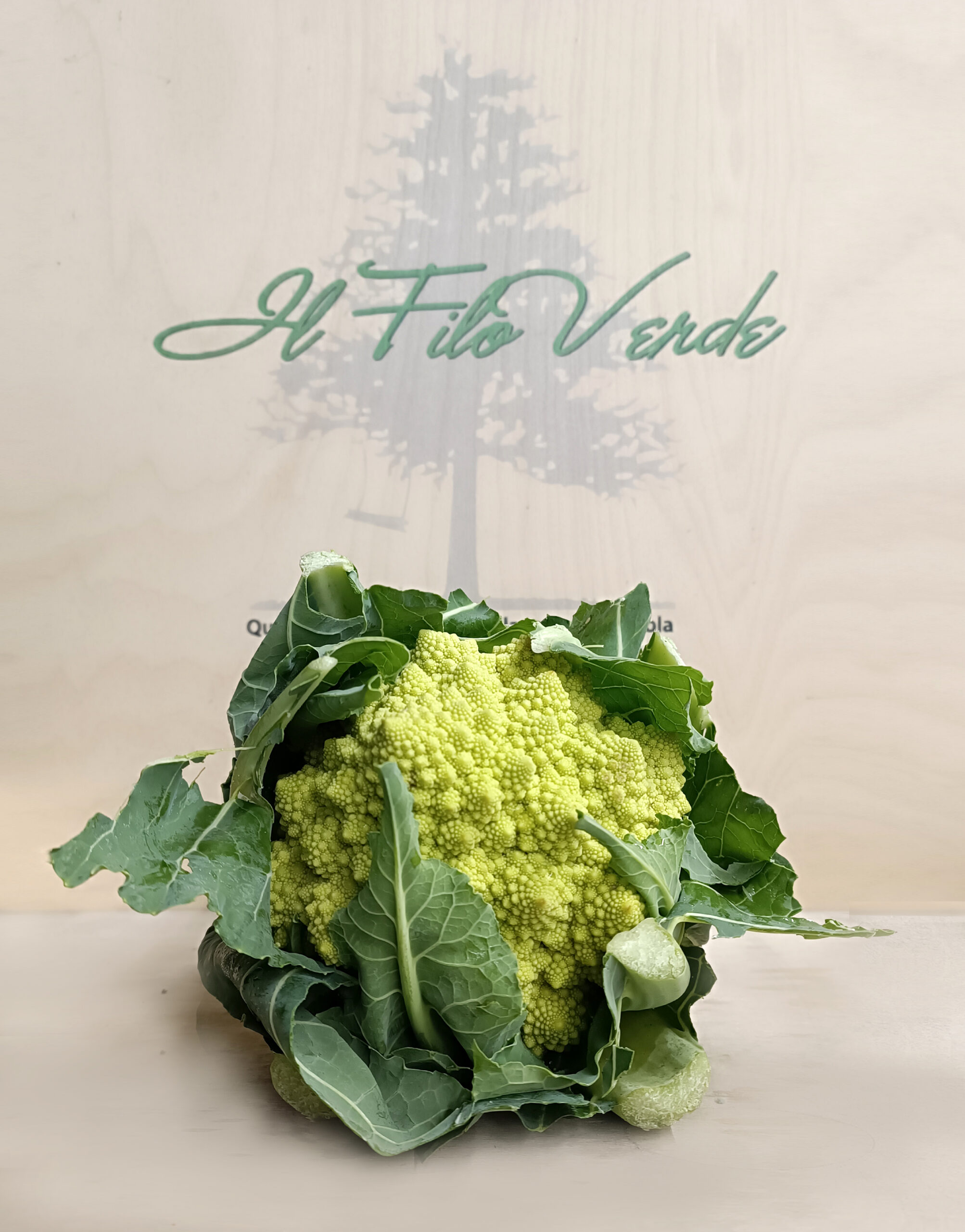 https://www.ilfiloverdesrl.it/wp-content/uploads/2024/02/cavolo-romanesco-1-scaled.jpg